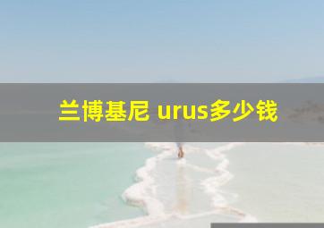 兰博基尼 urus多少钱